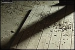 hg04420.jpg