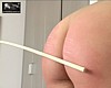 hg08526.jpg